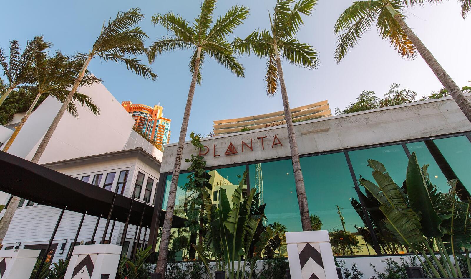 Exclusive: Why Planta Left Canada Behind—and Where It Wants to Expand to Next