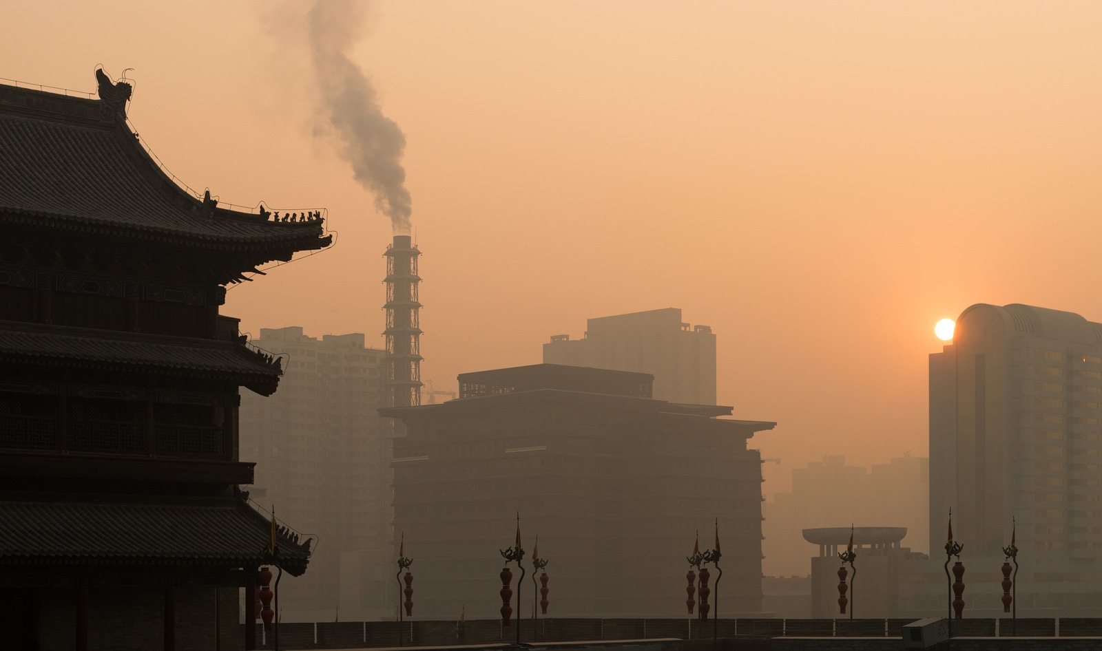 Meat Industry Pollution Linked to 90,000 Premature Deaths in China, New Study Finds&nbsp;
