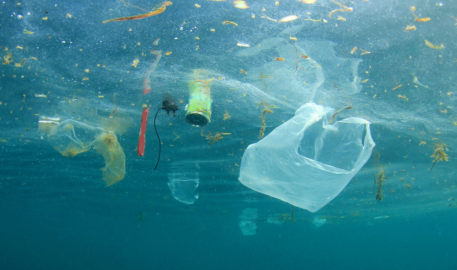 20 Vegan Brands Join Coalition to Keep the Equivalent of 27 Million Plastic Bags Out of Landfills