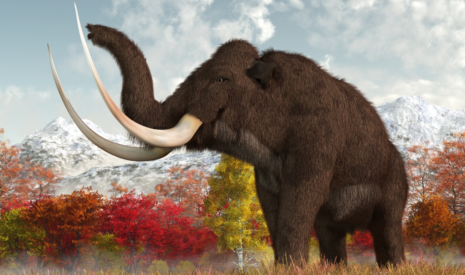 This Precision Fermentation Startup Made Vegan Woolly Mammoth Meat. And It’s Just the Beginning. 