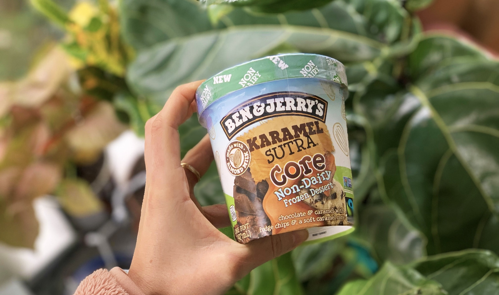Ben & Jerry's Just Launched Its 17th Vegan Flavor: Dairy-Free Karamel Sutra