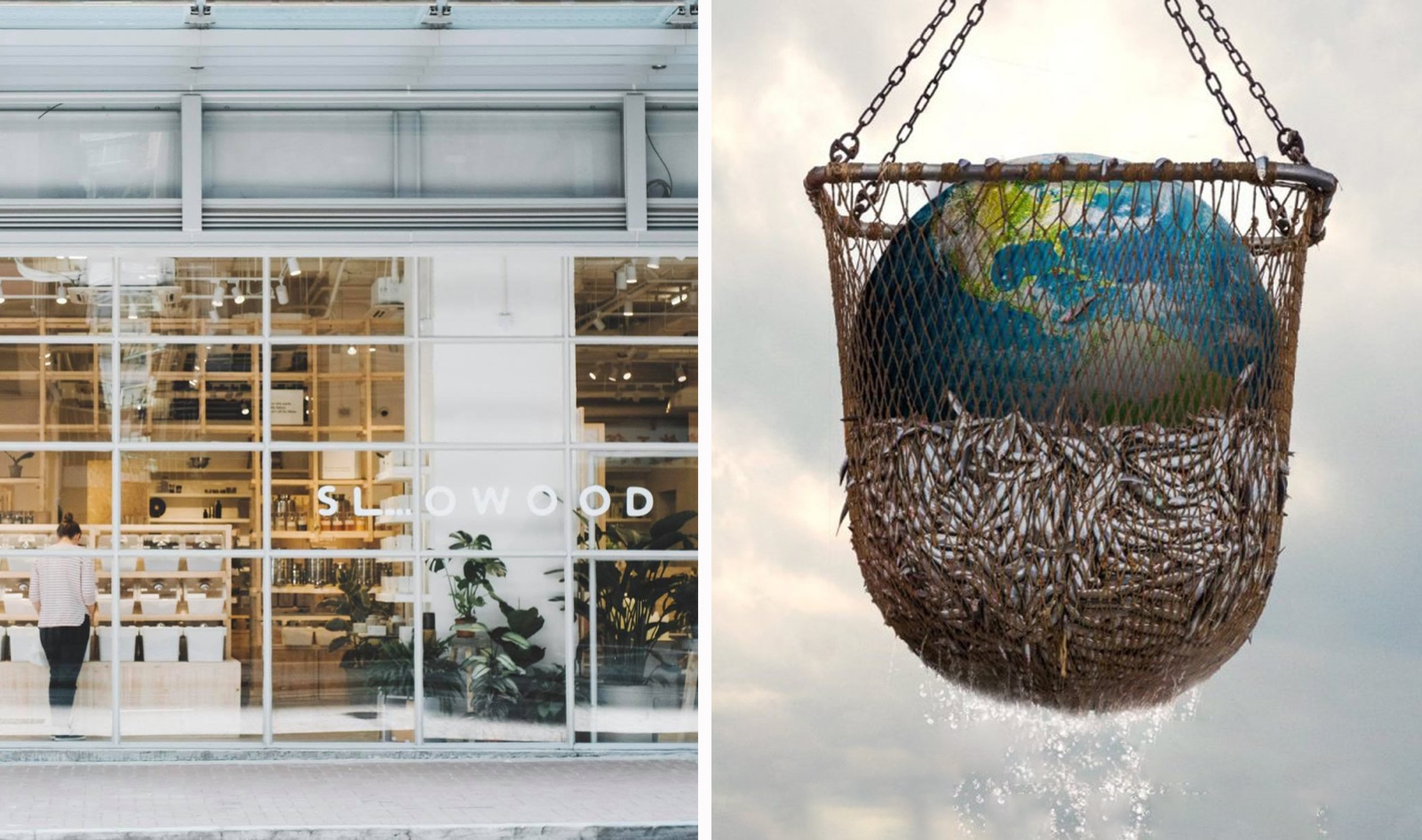 Netflix Documentary <i>Seaspiracy</i> Inspires Grocery Store to Stop Selling Fish&nbsp;