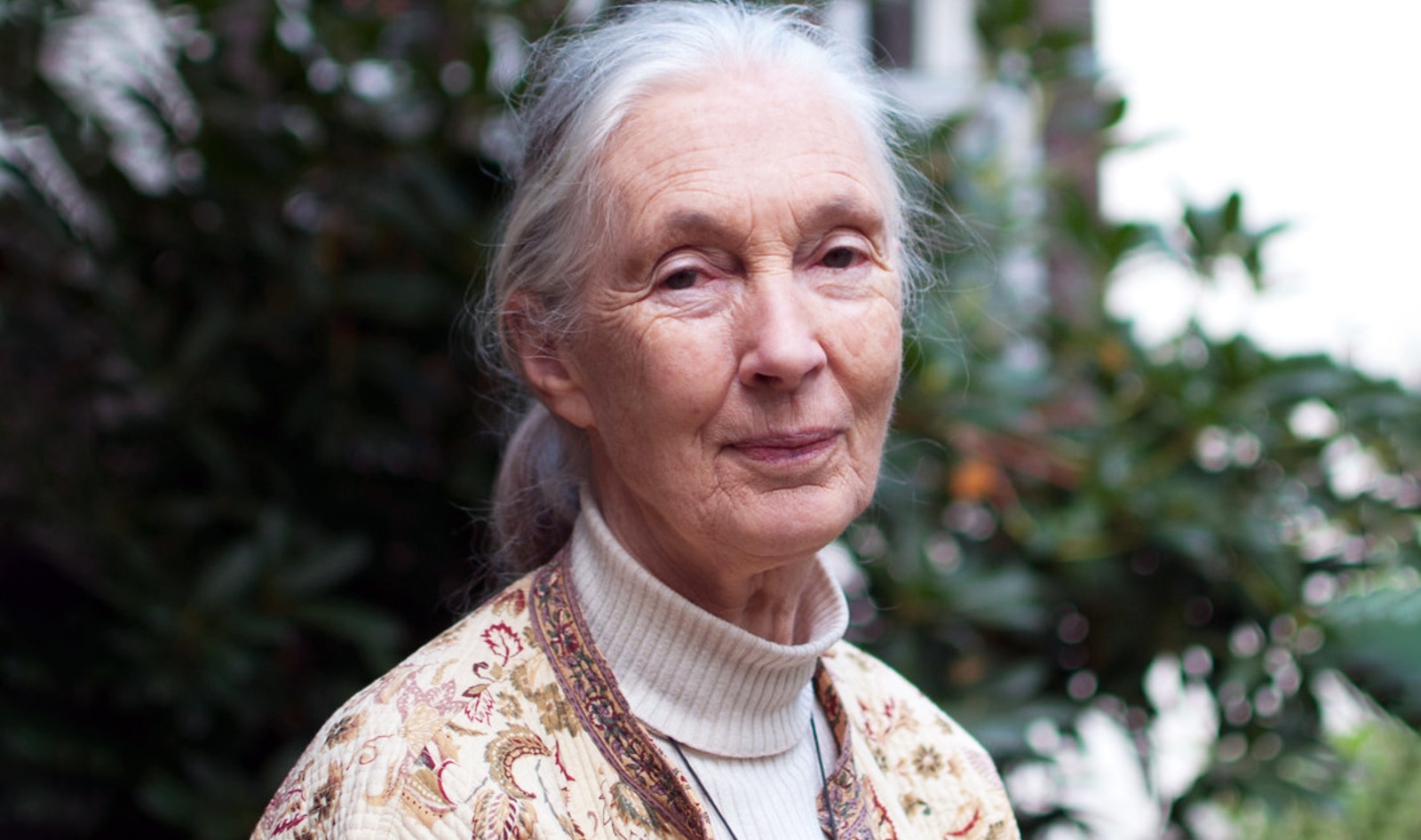 Jane Goodall May Be Remembered for Her Work With Chimpanzees, But Her Real Legacy Is Fighting Factory Farming