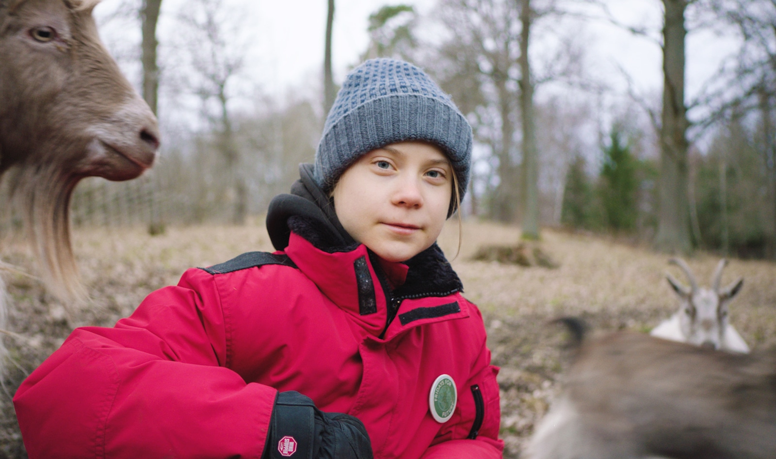 Greta Thunberg in New Film: If We Don’t Stop Exploiting Animals, “We Are F*cked”&nbsp;