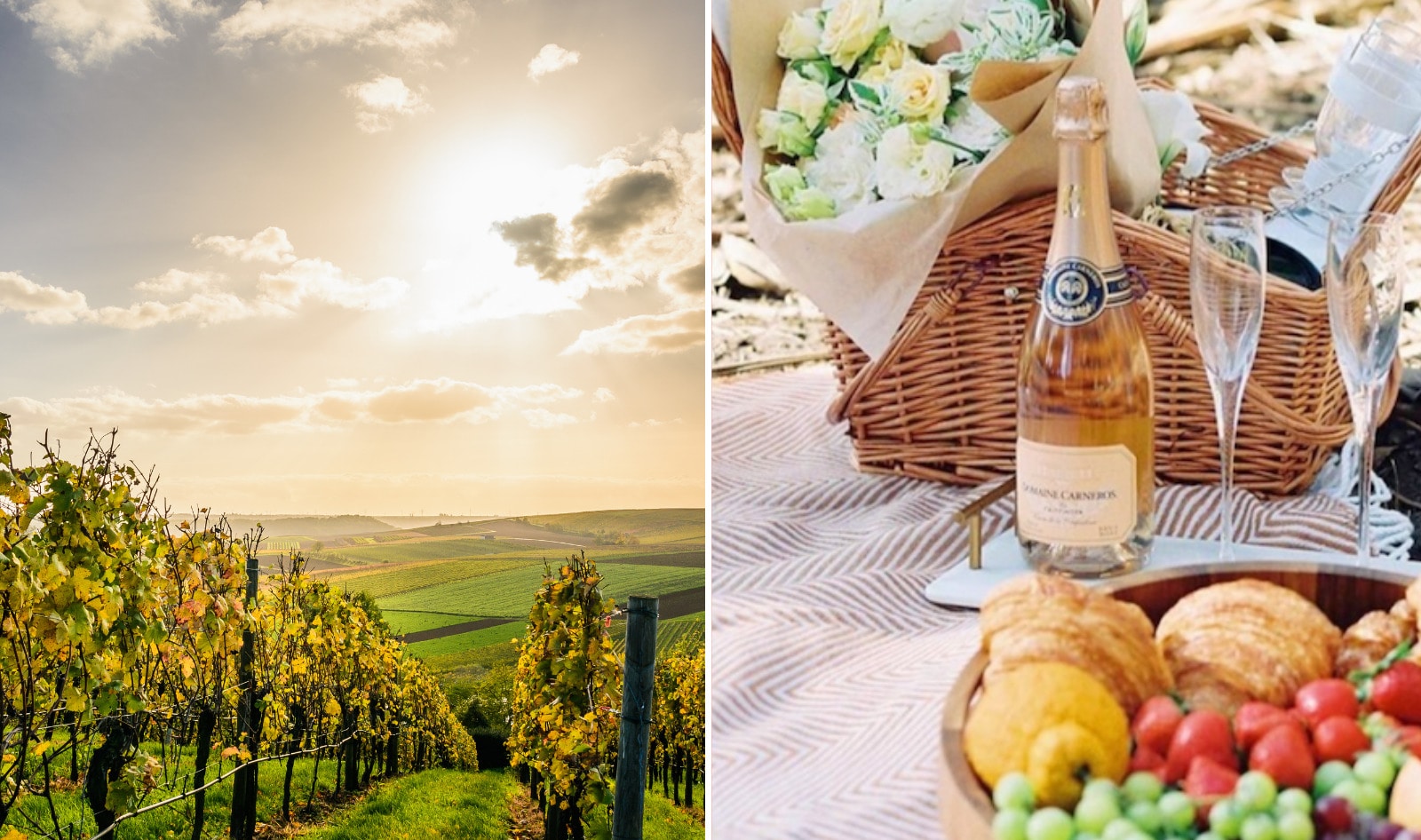 A Vegan Guide to Napa and California's Wine Country 