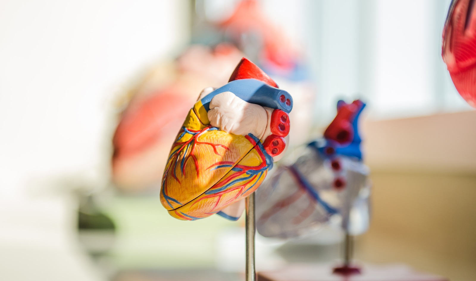 The Largest Study of Its Kind Links Meat to 18-Percent Increase in Heart Disease Risk 