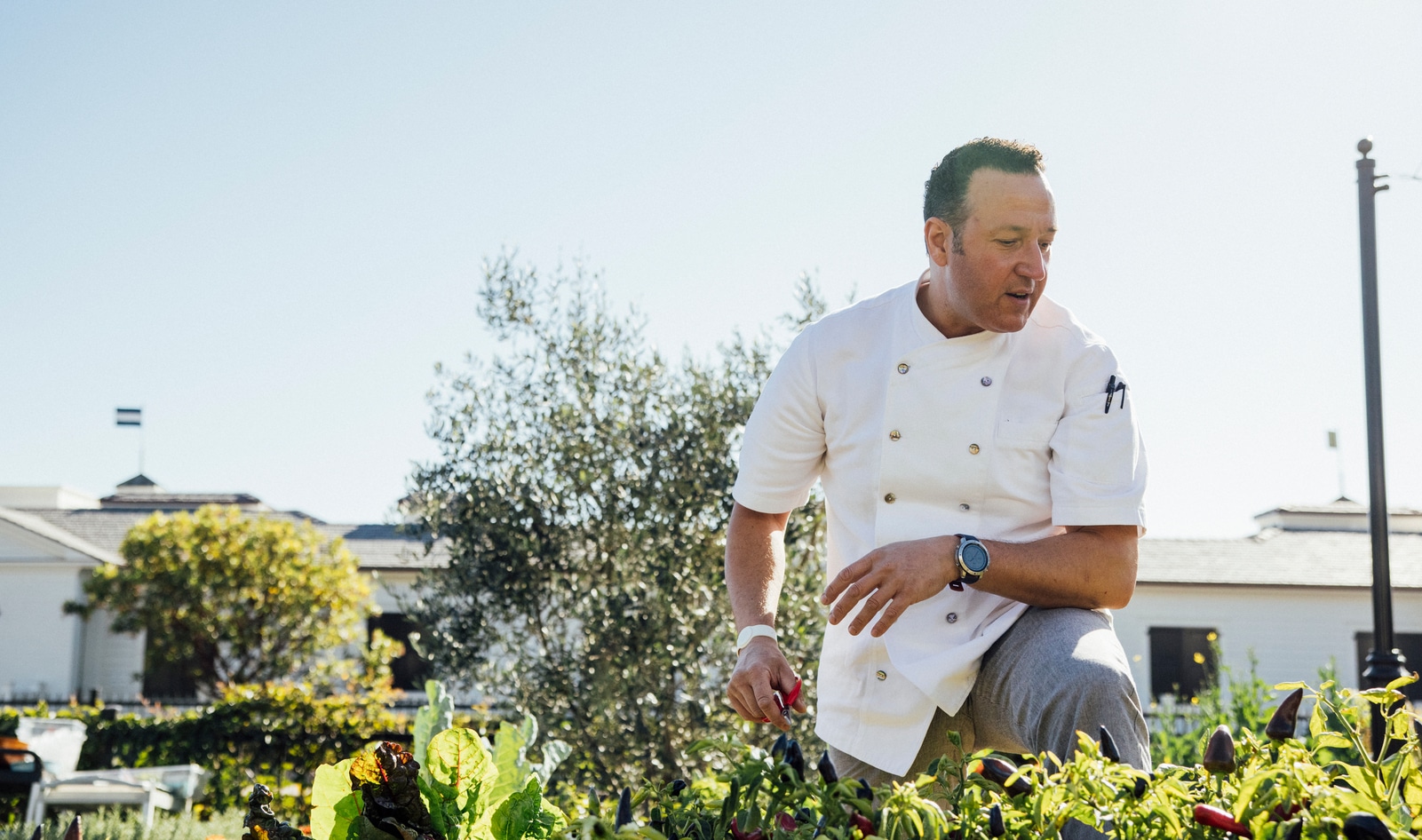 2 Michelin Chefs Bring 8-Course Vegan Experience to California's Central Coast 
