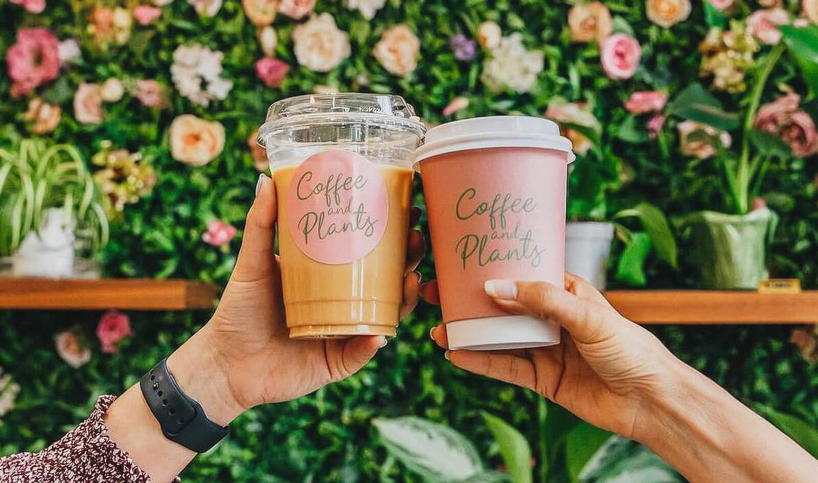 No Surcharges Here: The 17 Best Vegan Coffee Shops in the US<br>