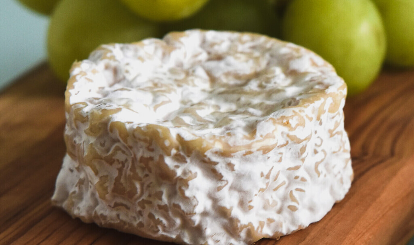 Can Microbes Make French Cheese Better than Cows? Startups Raise $14 Million to Find Out. 