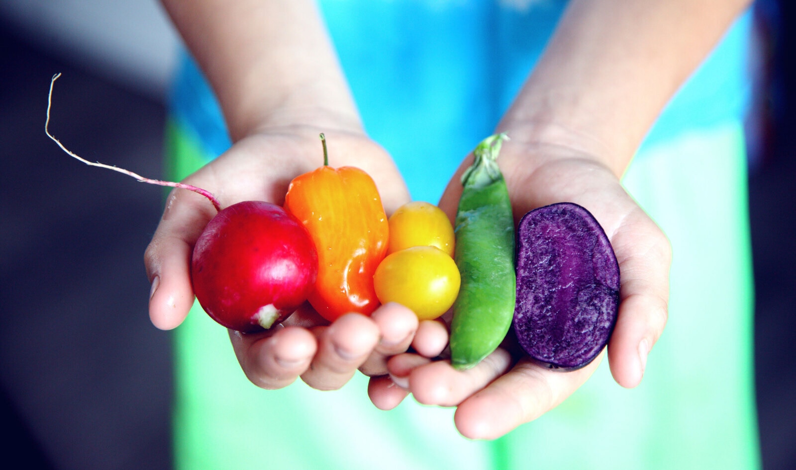 Vegetables Are Getting Less Nutritious, and Eating Meat Is Part of the Problem, Research Says