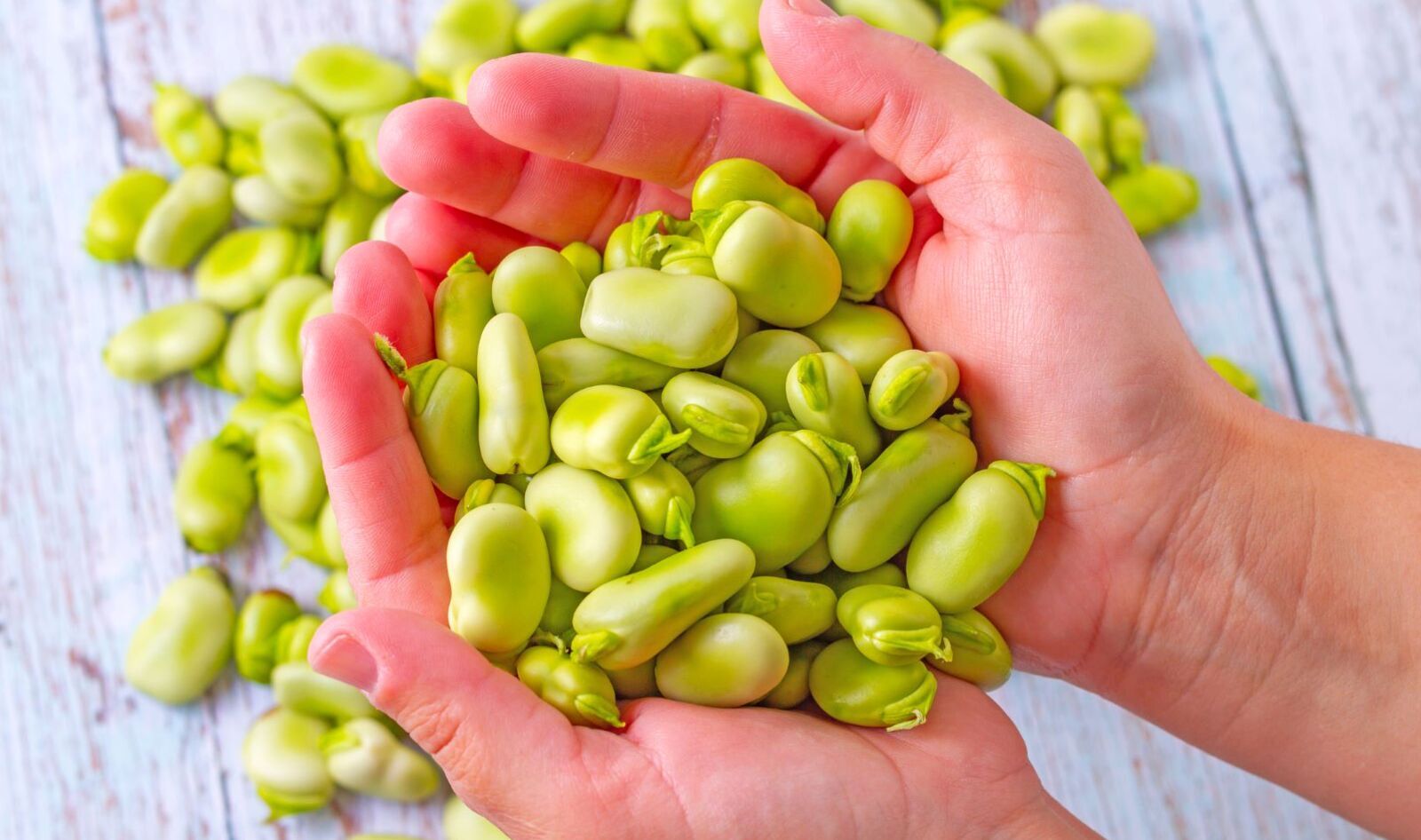 Replacing Meat With Beans Is Good for Your Bones, Study Finds