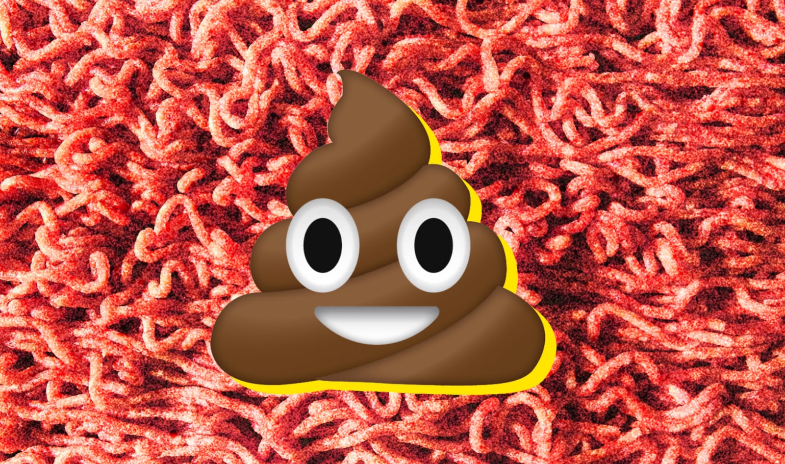 Blame Pork and Beef, Not Lettuce, for America’s Crappy E. Coli Problem