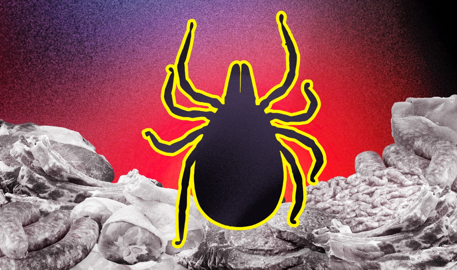 How a Tick-Borne Meat Allergy Is Fueling a Plant-Based Shift on Martha’s Vineyard
