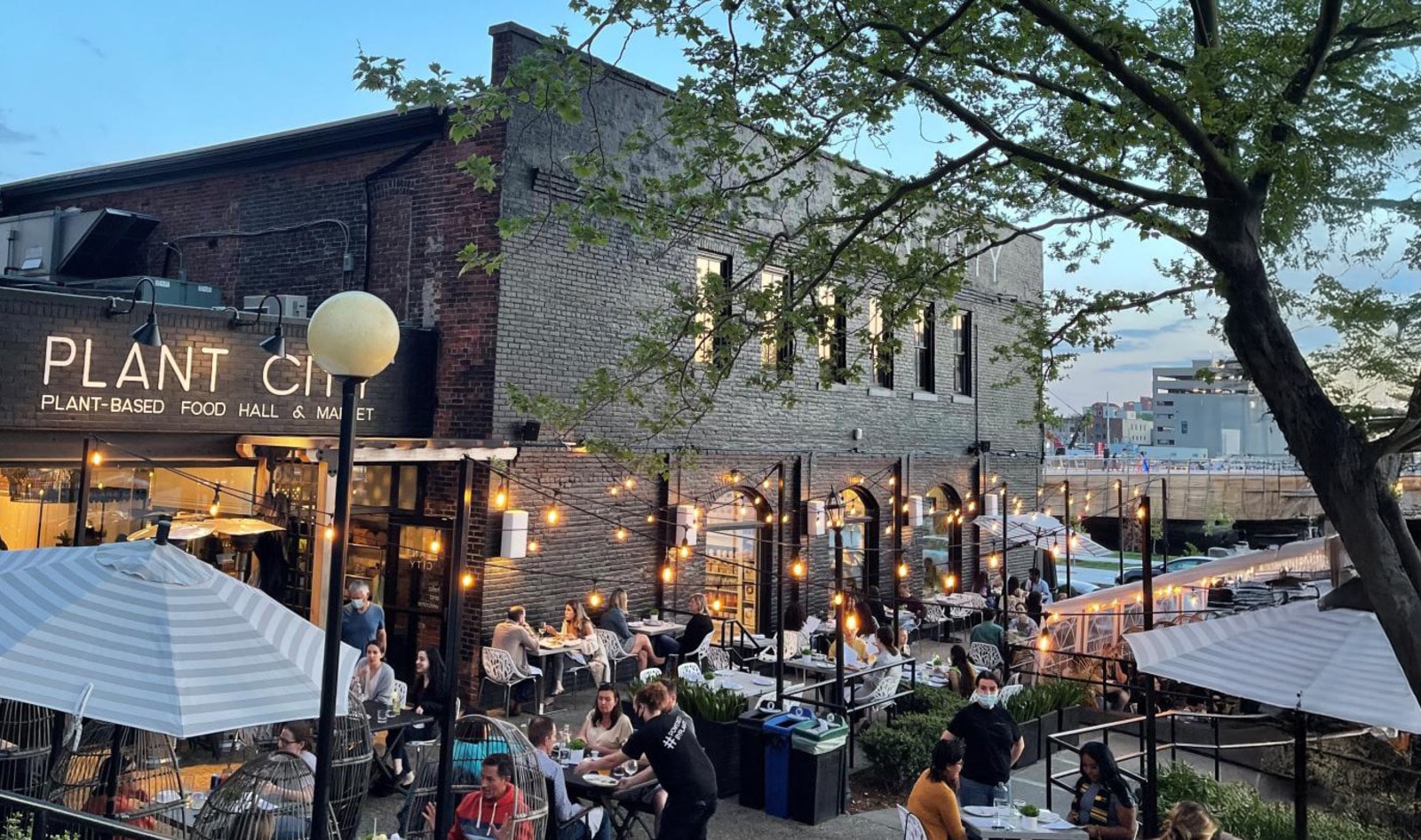 Why Plant City, One of New England’s Most Ambitious Vegan Projects, Is Closing