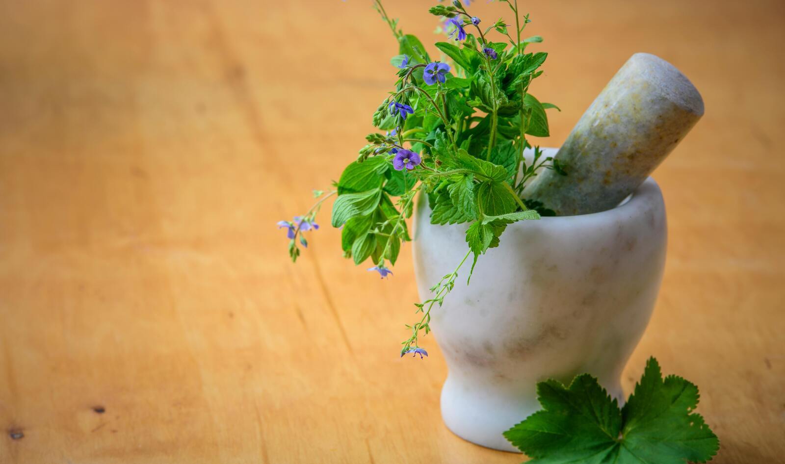 The VegNews Guide to Growing Your Own Kitchen Herbs (Plus Recipes!)