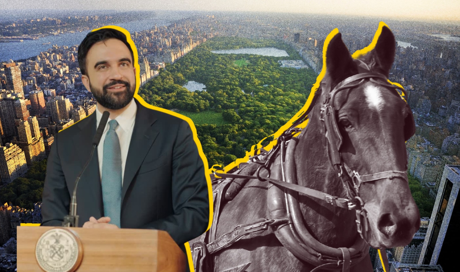New York City Votes in Groundbreaking Legislation to End Horse-Drawn Carriages