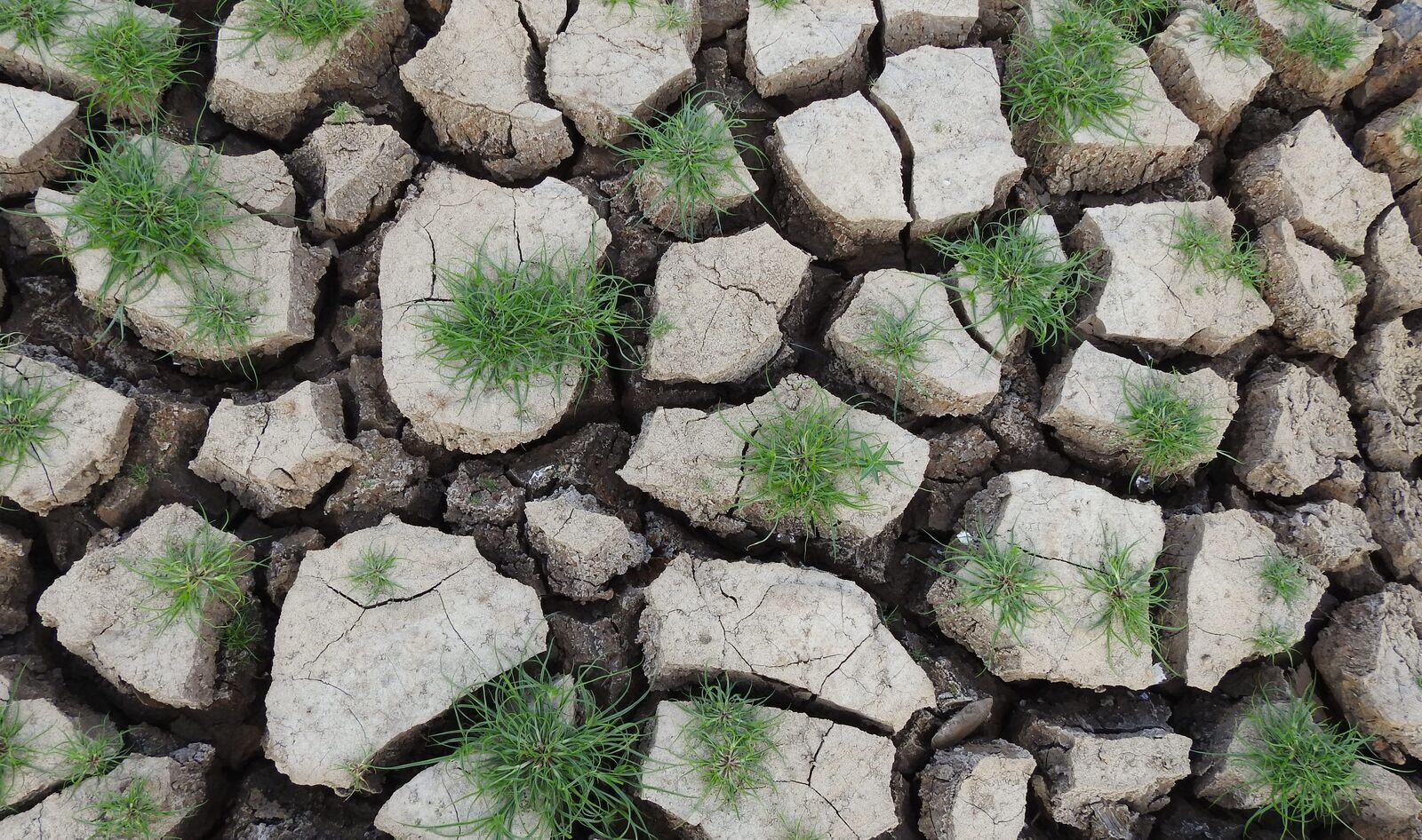 When Temperatures Soar, So Does Violence: Study Reveals Troubling Link to Climate Change