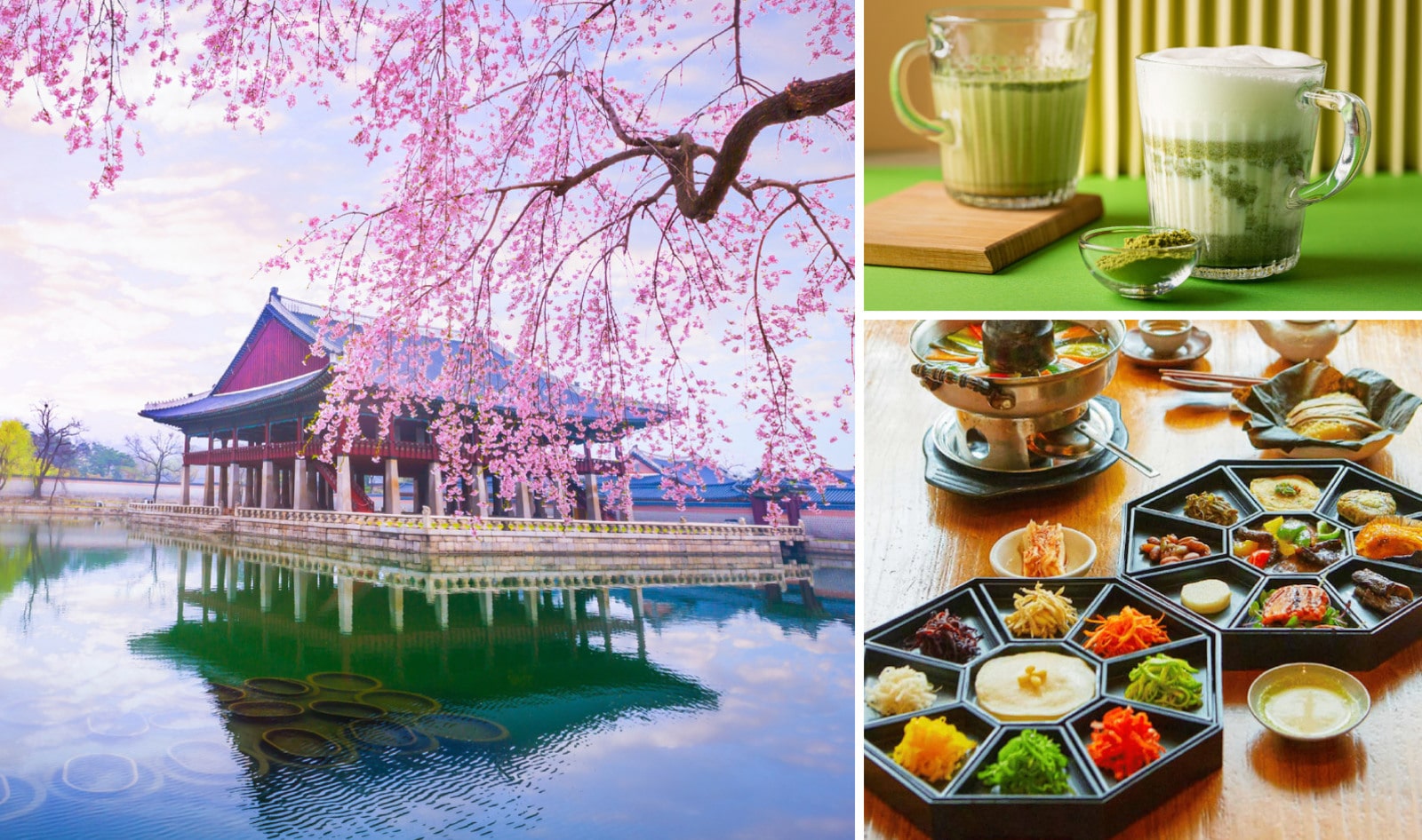 7 Unforgettable Days in South Korea: The Ultimate Vegan Travel Guide
