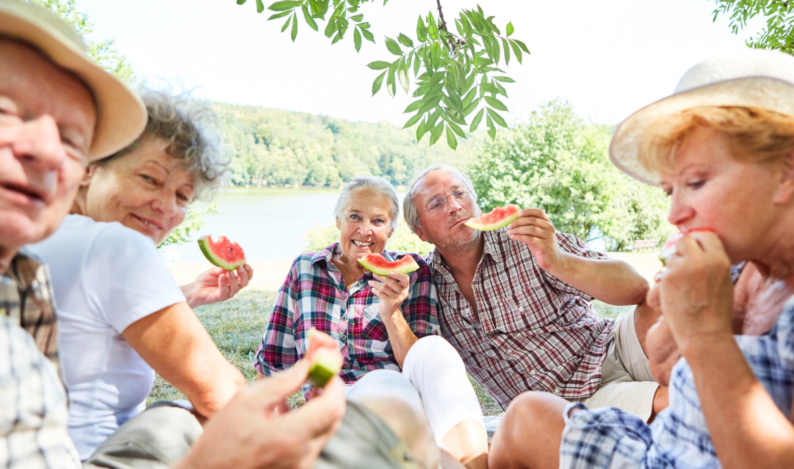 Can a Plant-Based Diet Lower the Risk of Dementia? Here's What the Research Says
