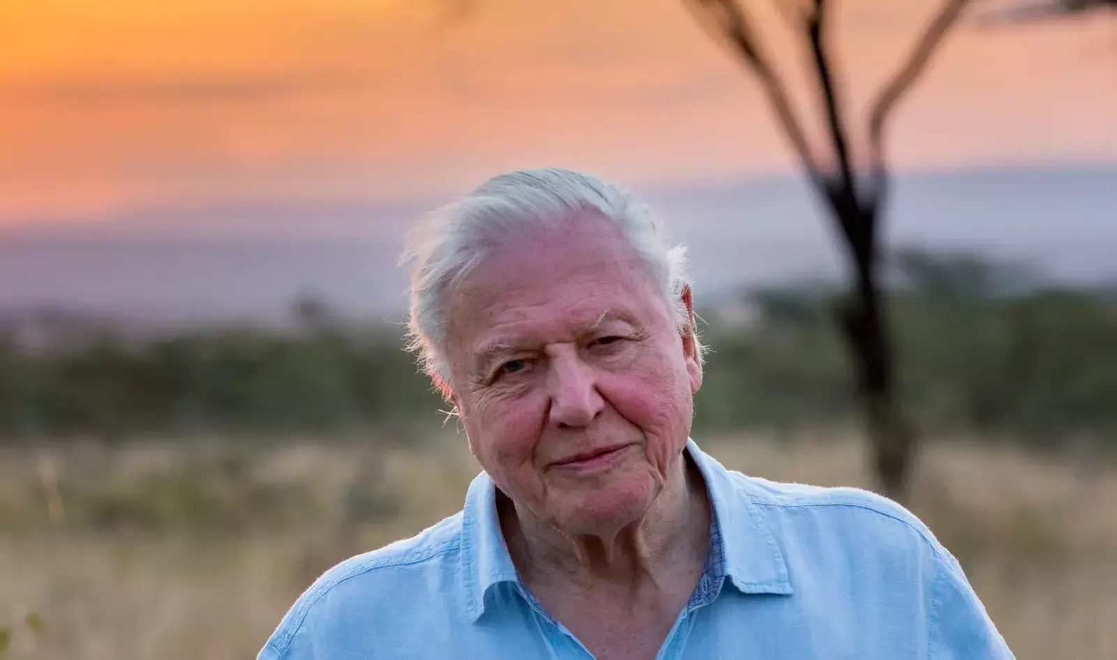 David Attenborough Turns 100 Today. These Are the 5 Lifestyle Habits He Shares With the World's Longest-Living People